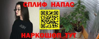 мяу мяу мука Бугуруслан