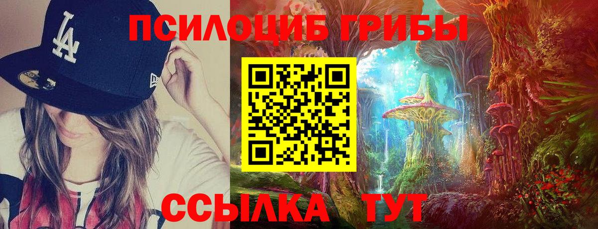 Рославль  Псилоцибиновые грибы мицелий  Вход с VPN 
